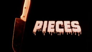 pieces